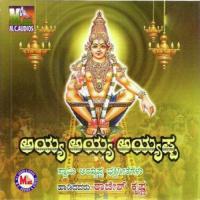 Swamiye Sarana Murali Krishna Song Download Mp3