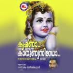 Krishna Karunnya Sindho songs mp3
