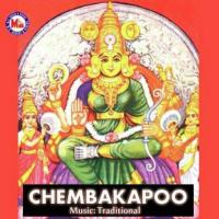 Chettikulangarayilennum Pradeep,Pramod,Neena,Chorus Song Download Mp3