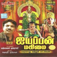 Ayyappa Swamikku Abhishekam Pushpavanam Kuppusamy Song Download Mp3