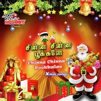 Chinna Chinna Pookkalae songs mp3