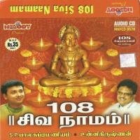 Sankara Siva Sankara S.P. Balasubrahmanyam Song Download Mp3