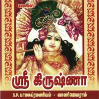 Kuzhalaaga S.P. Balasubrahmanyam Song Download Mp3
