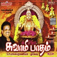 Nalla Kaarthikai Maatham S.P. Balasubrahmanyam Song Download Mp3