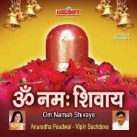 Shiva Om Namah Shivaye Anuradha Paudwal Song Download Mp3