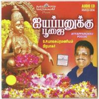 Ayyappanukku Poojai songs mp3