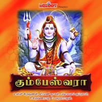 Ullagalam T.L. Maharajan Song Download Mp3