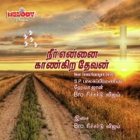 Anbaana Devane Nithyasree Mahadevan Song Download Mp3