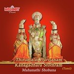 Thirumalai Darisanam Kanagadhara Stothram songs mp3