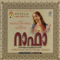 Aanippazhuthu Kester Song Download Mp3