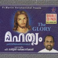 Amme Biju Narayanan Song Download Mp3
