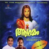 Manssu Thurannu Viswanadh Song Download Mp3