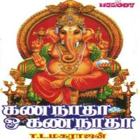 Vighna Vinayagane T.L. Maharajan,B.S. Sasirekha Song Download Mp3