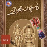 Chinthupattukakl Vol 2 songs mp3