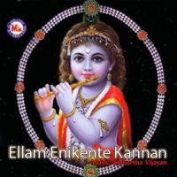 Ellam Enikente Kannan songs mp3