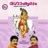 Aananda Roopanai G. Venugopal Song Download Mp3