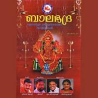 Seelakkariyammayam (Devotional) M.G. Suresh Song Download Mp3