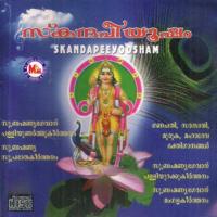 Paramasivapancha (Devotional) G. Veenugopal Song Download Mp3