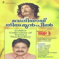 Baliyayi Thirumunpil songs mp3
