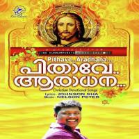 Daivame Thirisannidhi Nelson Peter Song Download Mp3