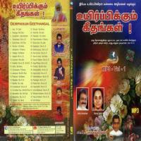 En Pathiram Bro Jolly Abraham Song Download Mp3