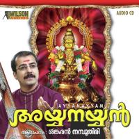 Shubhathandavamadum Sankaran Namboodiri Song Download Mp3