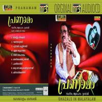 Pranamam songs mp3