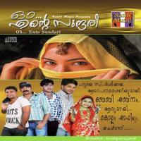 Oh Ente Sundari Kollam Shafi Song Download Mp3