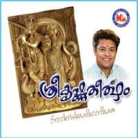 Sree Krishna Theertham songs mp3