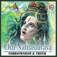 Om Namashivaya songs mp3