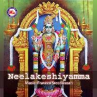 Ammininya Paalveena Various Artists Song Download Mp3