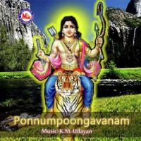 Ponnumpoongavanam songs mp3