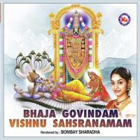 Bhaja Govindam Vishnu Saharanamam songs mp3