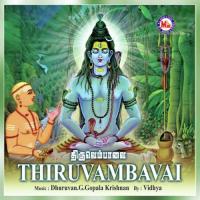 Thiruvambavai songs mp3