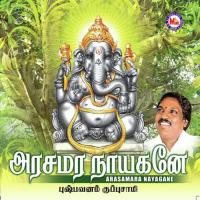 Arasamara Nayagane songs mp3