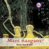 Naaga Thaivangale Various Artists Song Download Mp3
