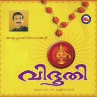 Chandraneppol Niramulla Various Artists Song Download Mp3