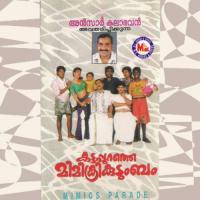 Kattapurathe Mimicry Kudumbam songs mp3