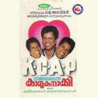 Ningalenne Kamukanakky songs mp3