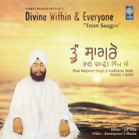 Toon Saagro Bhai Balpreet Singh Ji Ludhiana Wale Song Download Mp3