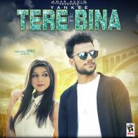 Tere Bina Yankee Song Download Mp3