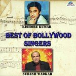 Best Of Bollywood Singers - Kishore Kumar And Suresh Wadkar songs mp3