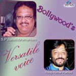 Mera Rang De S.P. Balasubrahmanyam,Alka Yagnik Song Download Mp3