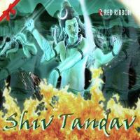 Shiv Tandav songs mp3
