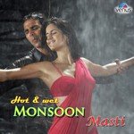 Bheegi Huyee Hai Raat Kumar Sanu,Kavita Krishnamurthy Song Download Mp3