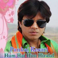 Hum Hai Hiro Hiralal Udit Narayan Song Download Mp3