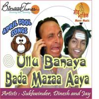 Ullu Banaya Bada Maza Aaya songs mp3