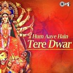 Hum Aaye Hain Tere Dwar songs mp3