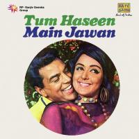 Tum Haseen Main Jawan songs mp3
