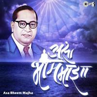 Bhimache Vishwa Chakrah Krishna Shinde Song Download Mp3